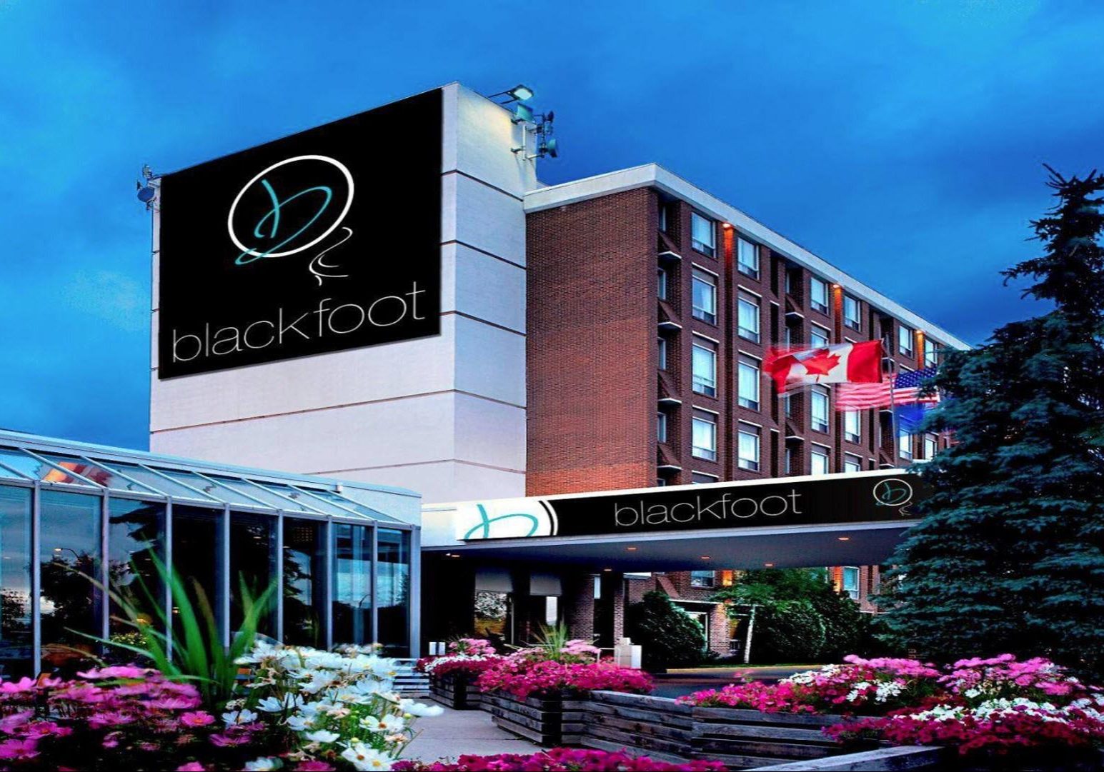 hotelblackfoot